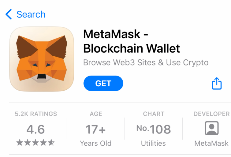 Metamask wallet for storing crypto